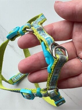Adjustable Dogs Harness in Lime Green and Teal